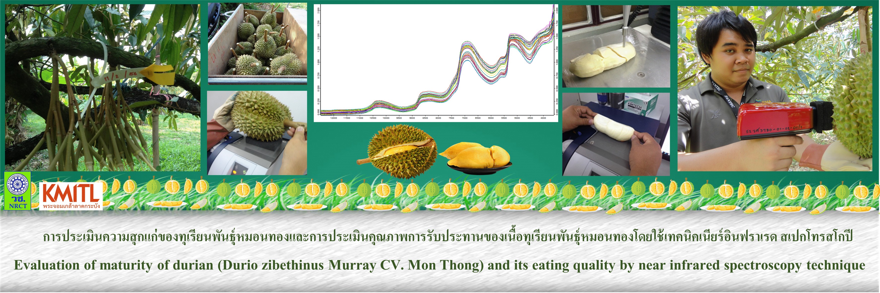 Durian